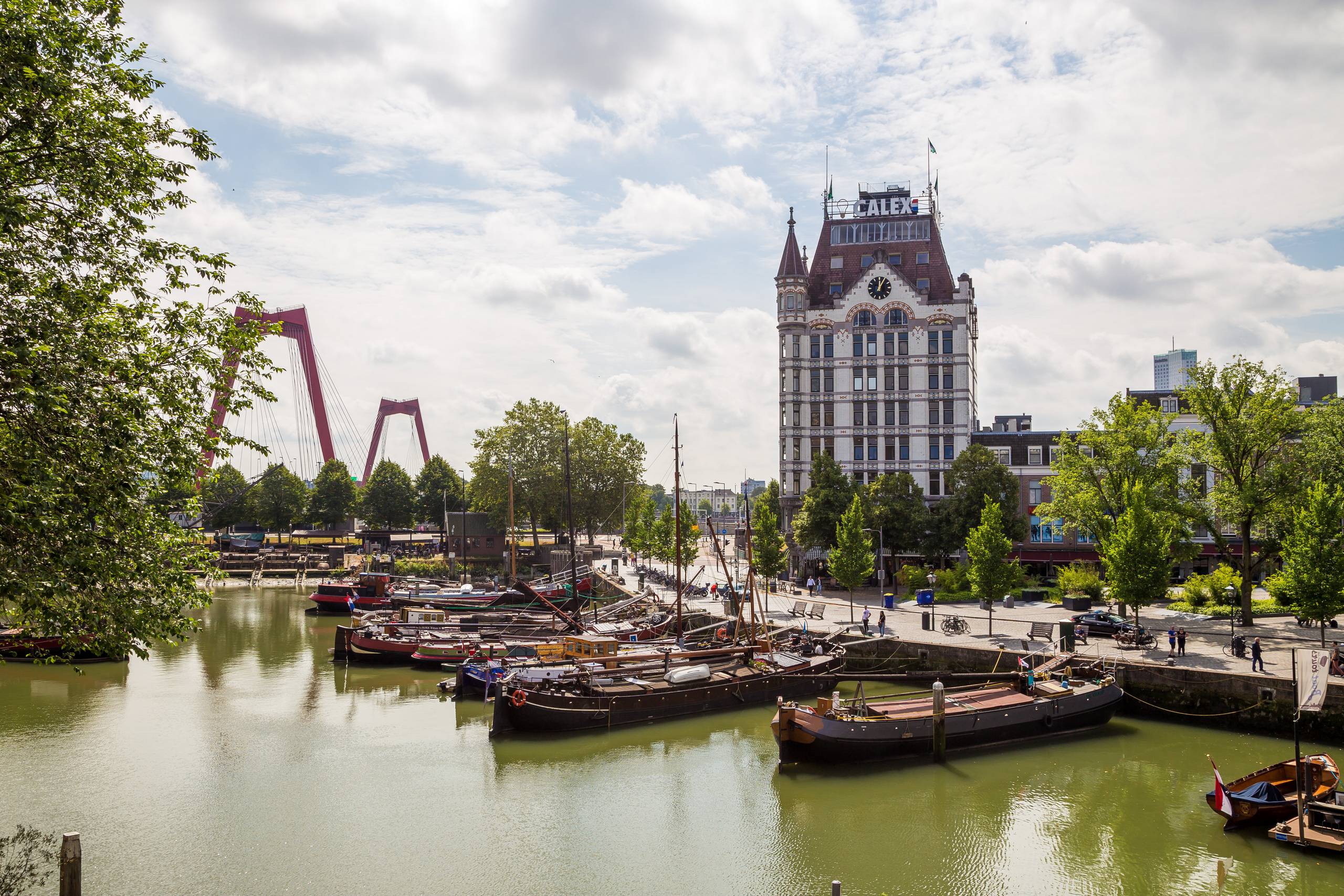 2019 Niederlande   117